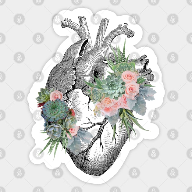 Heart for succulents plant lovers, Plants lovers with Human anatomy heart Sticker by Collagedream